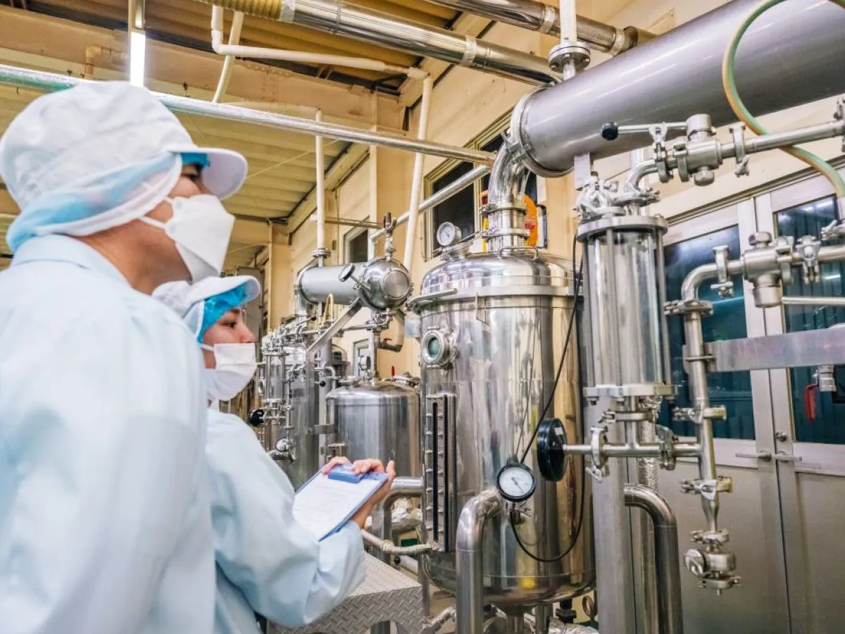 Coarsely powdered turmeric is put through a distiller to extract spring and autumn turmeric oil.